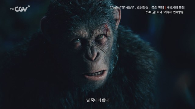 을 완벽하게 즐기는 법