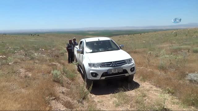 Yavru Kızıl Şahinler Büyüyerek Özgürlüğe Kanat Çırptı