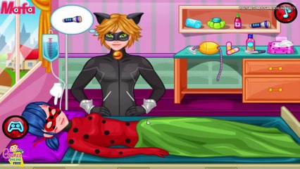 Aide et chat première Coccinelle miraculeux histoire avec noir