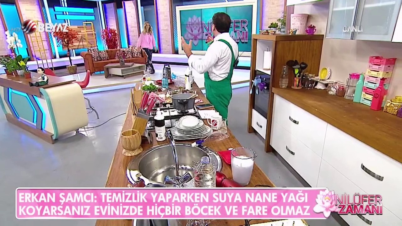 Evde böcek,fare ve karıncadan kurtulma yolları