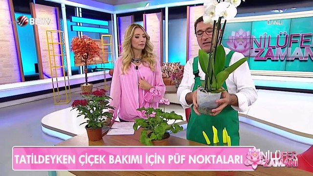 Tatildeyken çiçek bakımı için püf noktaları