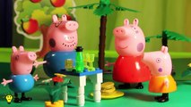 Cerdo de dibujos animados Peppa Pig Pippi mordido por una enorme garrapata del peppa