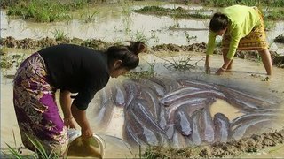Khmer Fishing At Siem Reap Cambodia -Cambodia Traditional Fishing