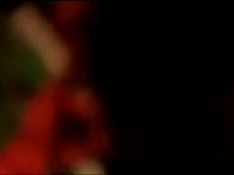 LOS ALAMOS - Lost Alamo (from the film MONO )