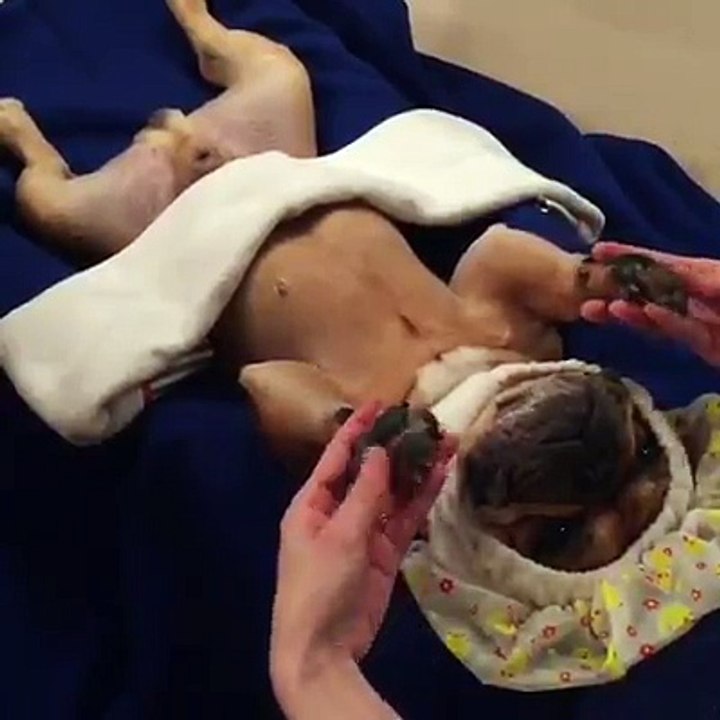Un bon massage !