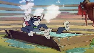 Tom And Jerry English Episodes - Texas Tom - Cartoons For Kids