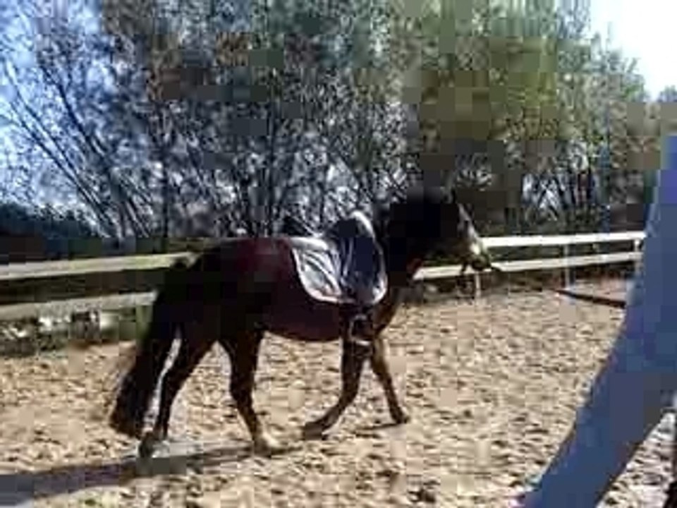 Mouliinette-x