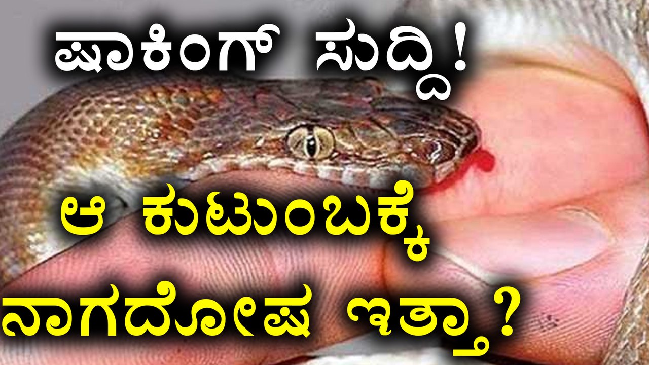 Chitradurga Tragic Incident : 3 People Killed By Snake Bite | Oneindia Kannada