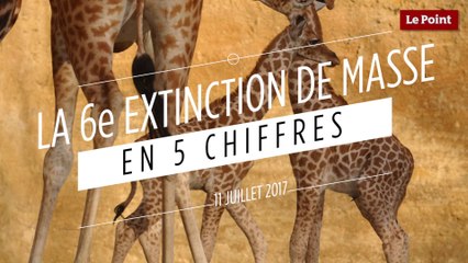 La sixième extinction de masse en 5 chiffres