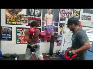 Hard Hitting Jose Torres Going for WBC Belt EsNews Boxing