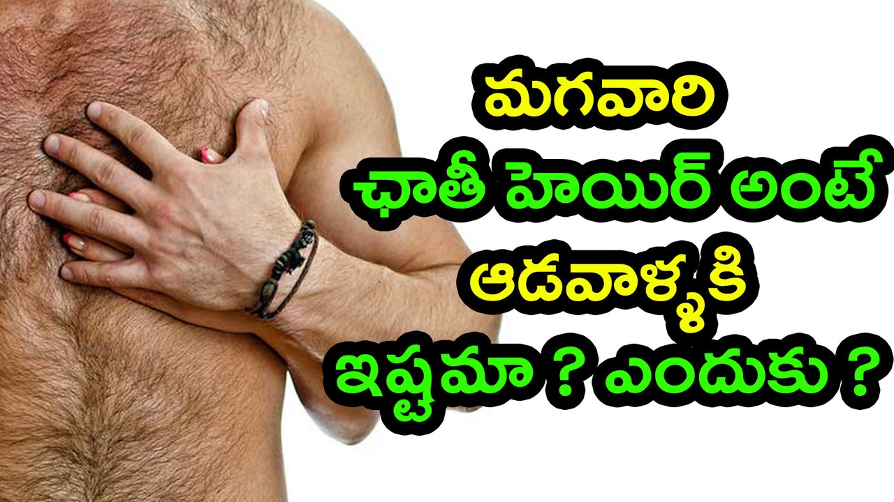 Do Women Like Chest Hair? Oneindia Telugu video Dailymotion