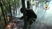 Firefighters Battle Blaze in Northern Italian Forest
