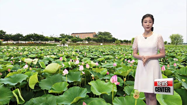 Nation will stay under heatwave advisories tomorrow