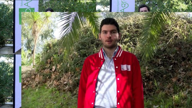 Témoignages des étudiants du Mastère spécialisé® Management des entreprises du vivant et de l'agro-alimentaire (MAEVA)