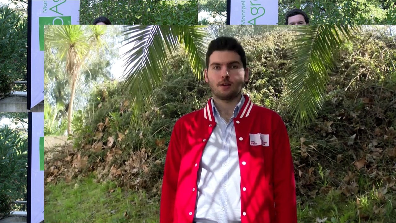 Témoignages des étudiants du Mastère spécialisé® Management des entreprises du vivant et de l'agro-alimentaire (MAEVA)