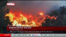 Kebakaran Hutan di Santa Barbara Meluas Hingga 200 Hektar