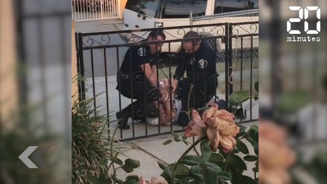 Une intervention policière dégénére - Le Rewind du mardi 11 juillet 2017