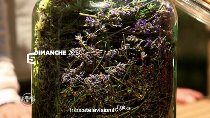 Les 100 lieux qu'il faut voir - Alpes-Maritimes du 16/07