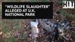 'Horrific wildlife persecution' alleged at UK national park