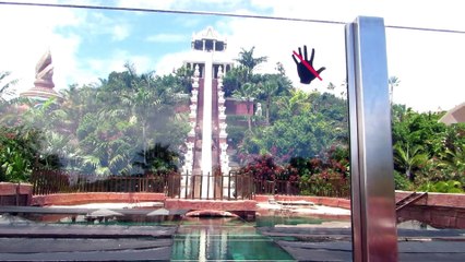 Shark water slide, extremely fast 80 km/h