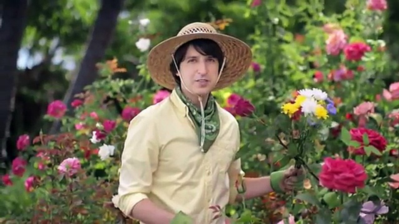 New York Life Insurance Commercial 2016 Demetri Martin