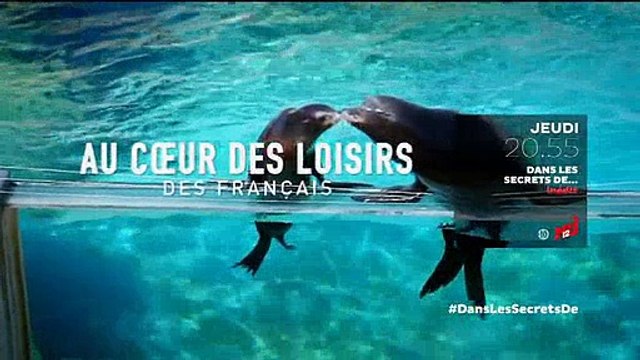 Dans les secrets des loisirs des Français présenté par Malika Ménard sur NRJ12