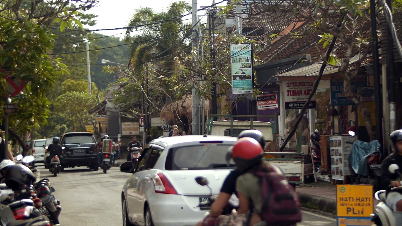 Monkey Mayhem in Bali