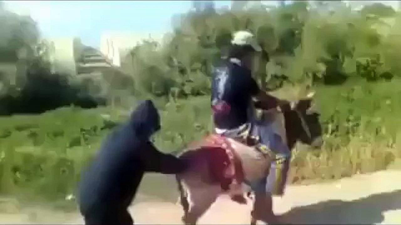 what the fuck ?