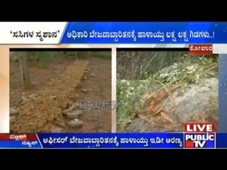 Plants Destroyed In Kolar Due To Neglection