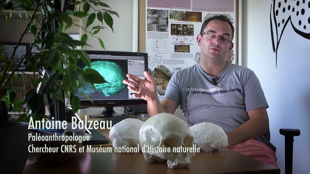 Homo sapiens a 300 000 ans