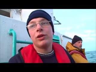 Pirates de la coquille Saint-Jacques - Reportage exclusif