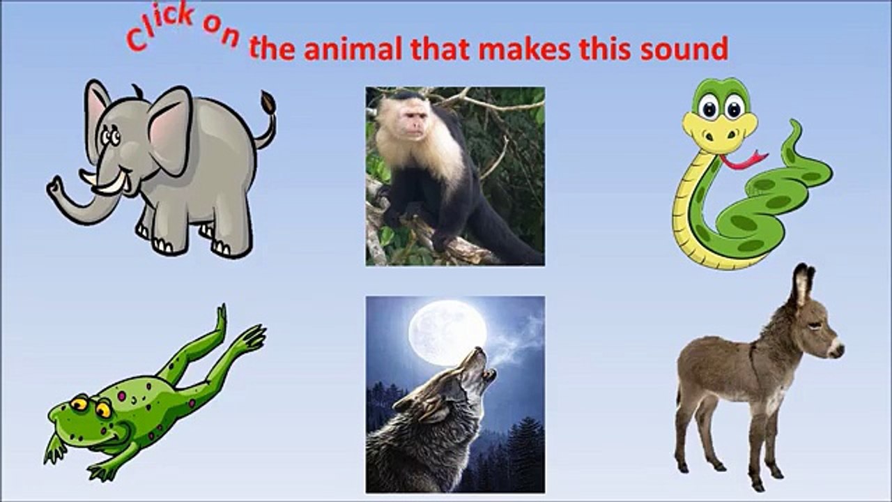 Bebés para juego Aprender jugando sonidos con Interive animales |