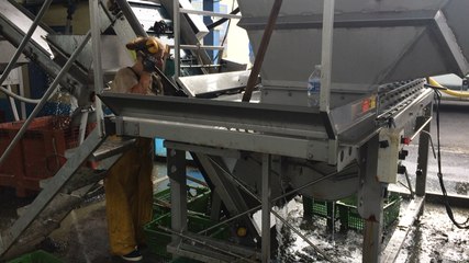 En mer avec les conchyliculteurs