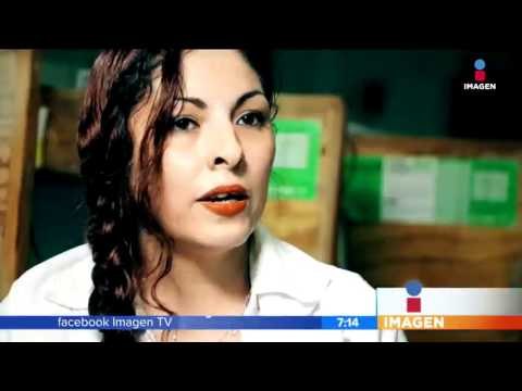 Le dijeron que nunca se levantaría de su silla de ruedas, hoy está de pie | Noticias con Zea