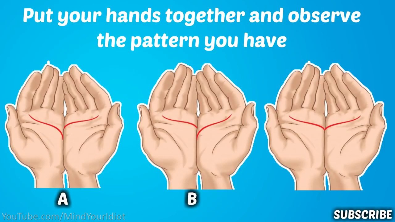 I Will Read Your Palm and Tell You What it Means