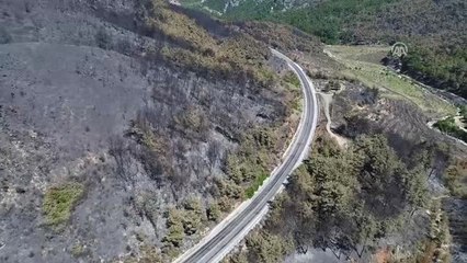 Tekrar) Yanan Alan 1,5 Milyon Fidanla Yeşerecek