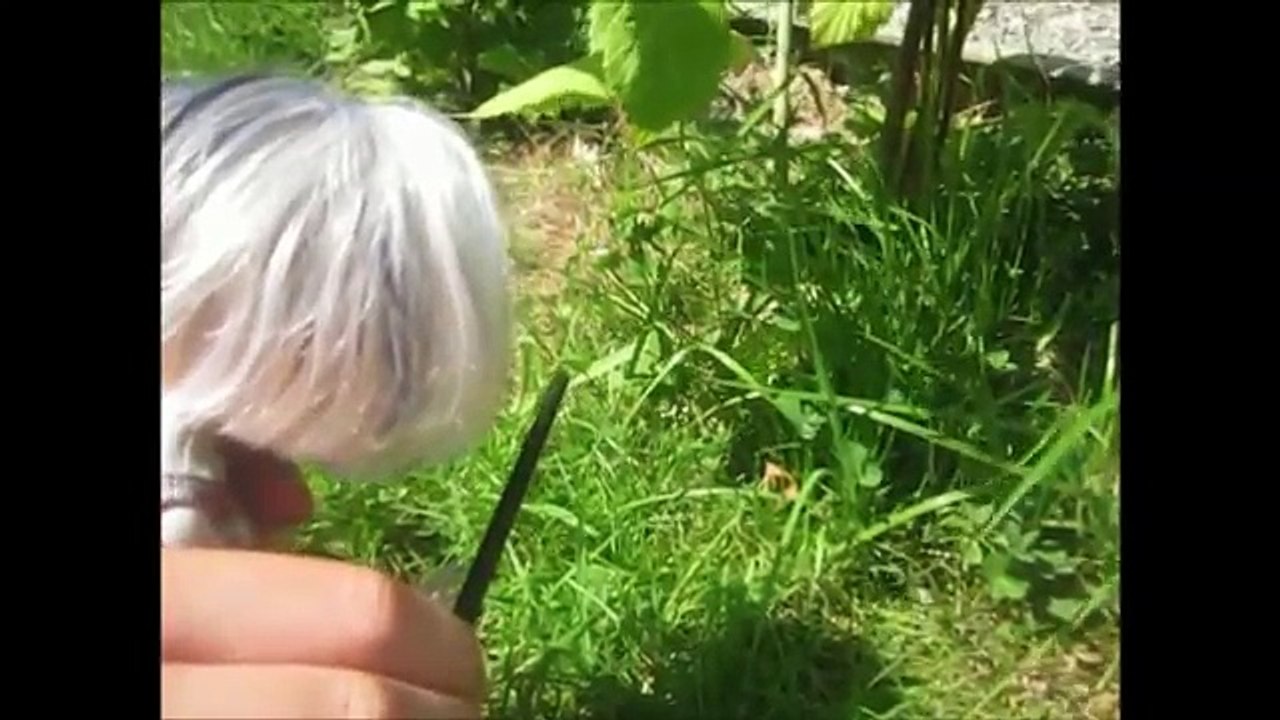 Де де по из также Ла Ля в в монстр участник высокая, полная луна весы, h2o 1