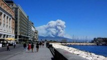 Italie : un incendie ravage le parc national du Vésuve, près de Naples