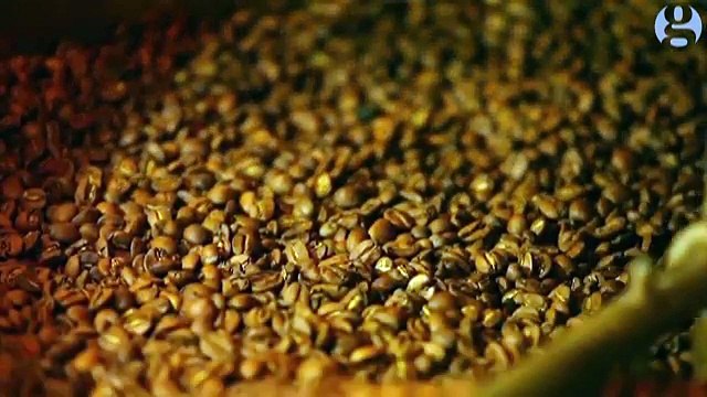 Coffee cuts risk of dying from heart disease