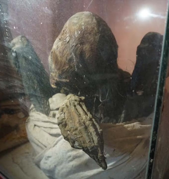 La extraña momia encontrada en Perú.