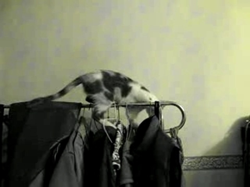 Boulette acrobate