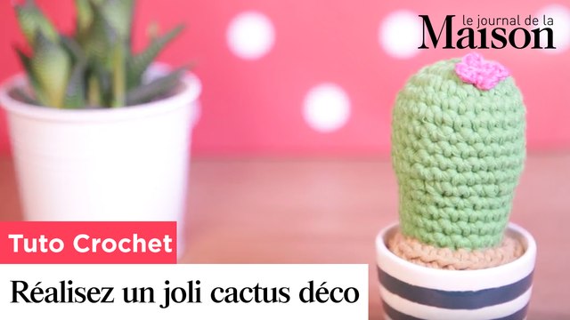 Réalisez un joli cactus déco