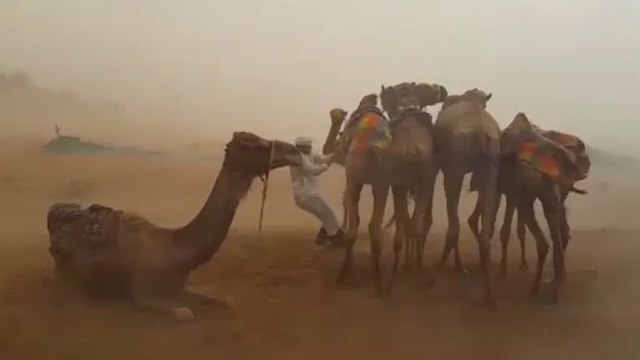 Storm Chasers Capture Unusual Rainstorms In The Desert