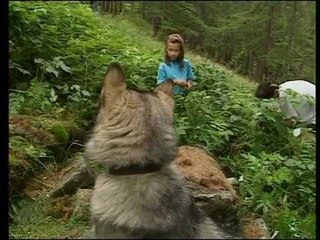 Les animaux de la Montagne