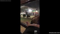 JARIPEO DE VALIENTES JINETES Y TOROS SALVAJES DE LA MEJOR GANADERIA DE MEXICO JUL 2017