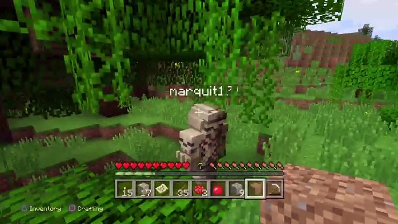minecraft With friend (4)