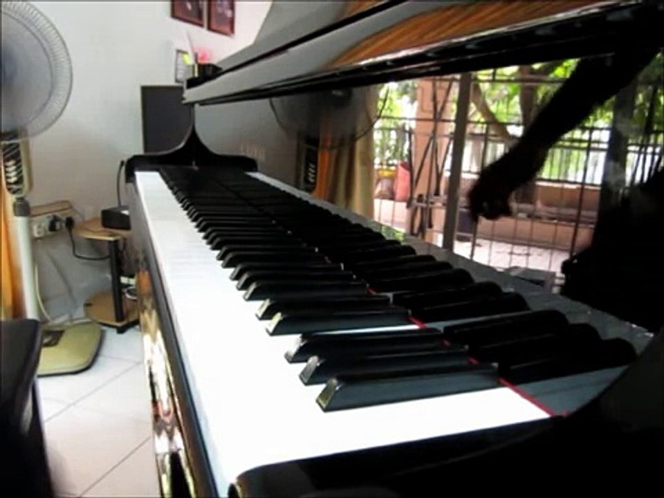 Oggy and the Cockroaches Theme Song [Piano Cover]