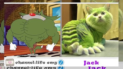 Oggy And The Cockroaches - Chracters in real life