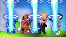 Wrong Eyes Paw Patrol Boss Baby Dora Oddbods & Finger Family and Learn Colors for Children