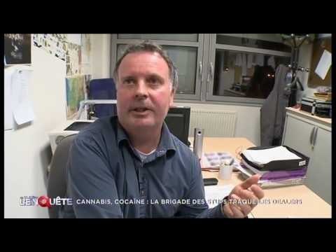 Cannabis, cocaïne, la brigade des stups traque les dealers - reportage 2015